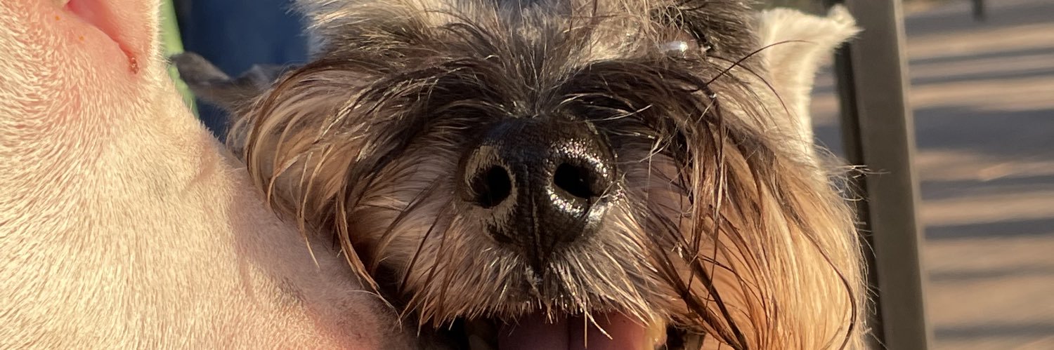 anniaktroetsch's profile banner image