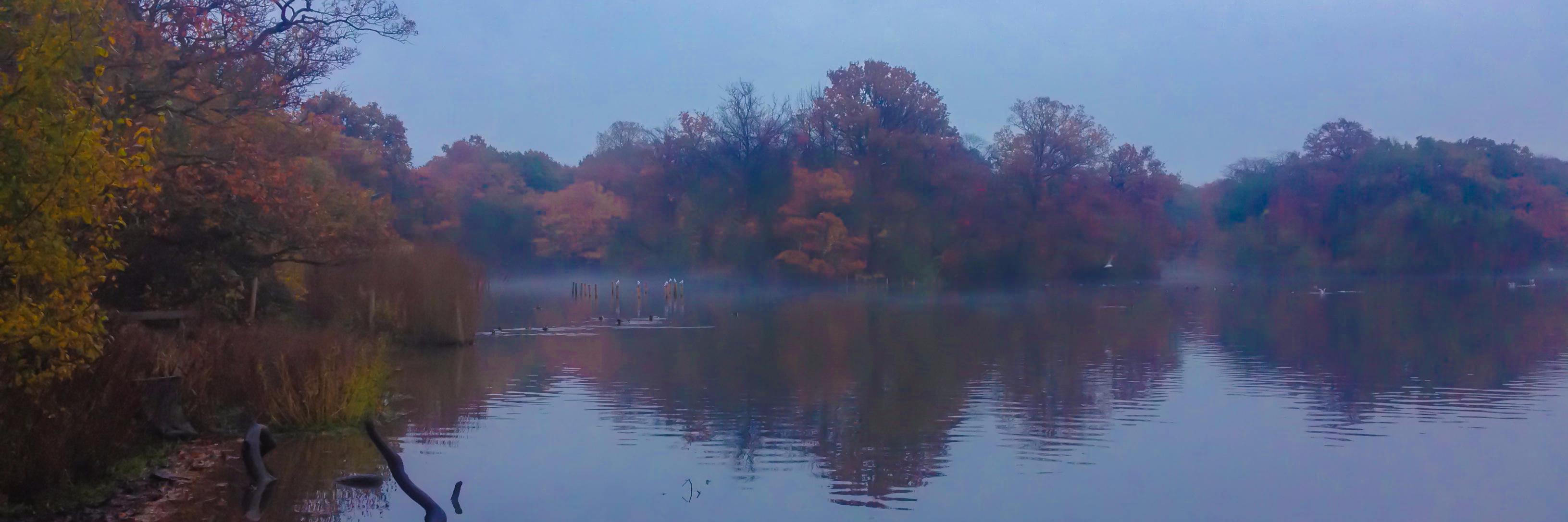 Nim Ralph (is not here often) banner