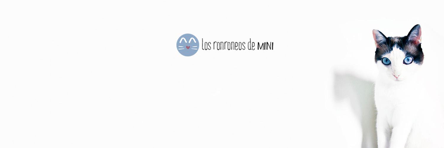 Mini_ronroneos's profile banner image