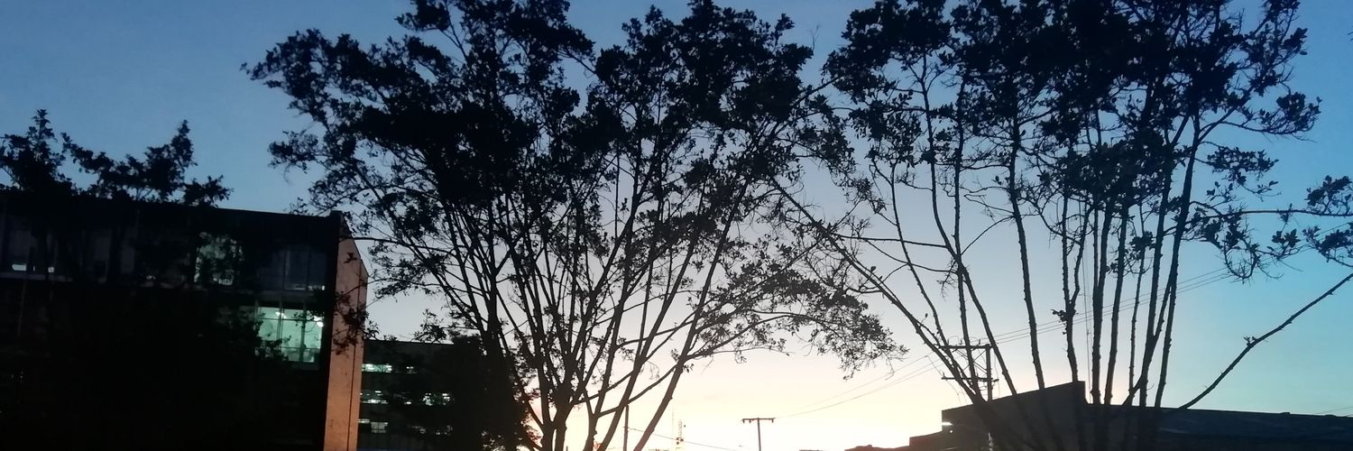 gabriel_cely's profile banner image