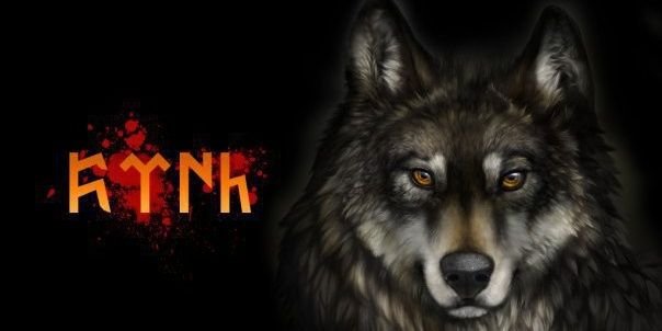 tanrıdağı1907🏠 banner