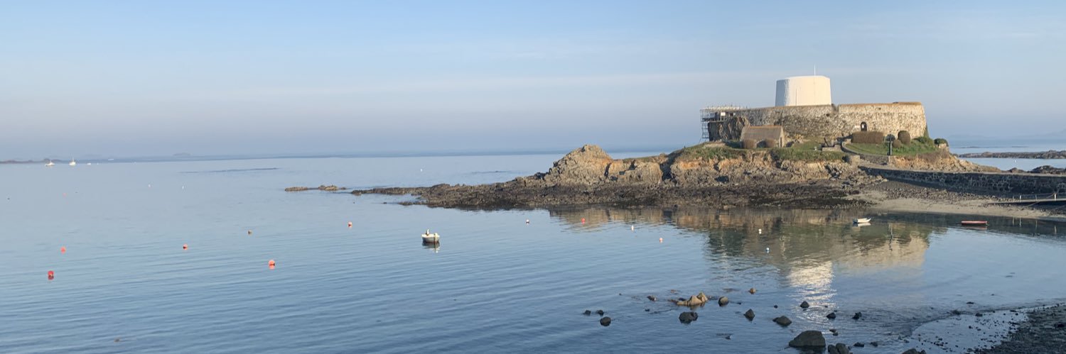 Denise Fallaize banner