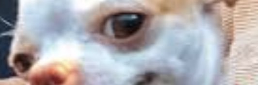 lmessirules's profile banner image