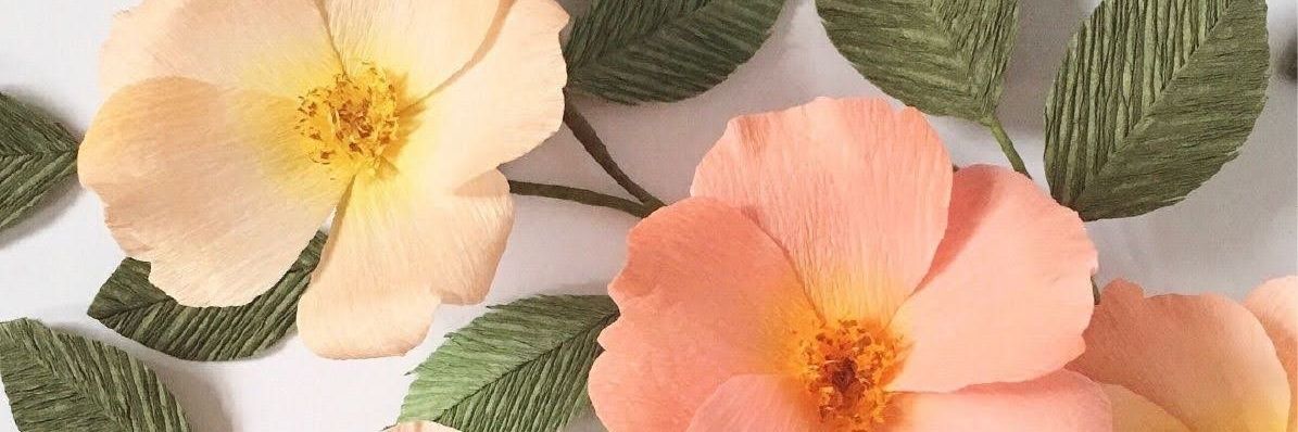 ElyTheHealthy's profile banner image