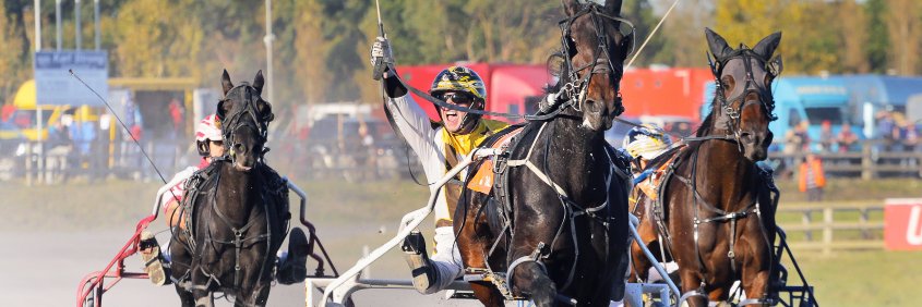 portmarnock raceway banner