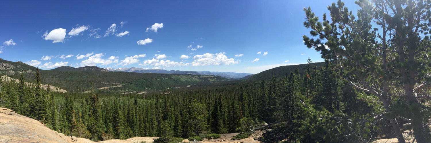 meghandurst's profile banner image