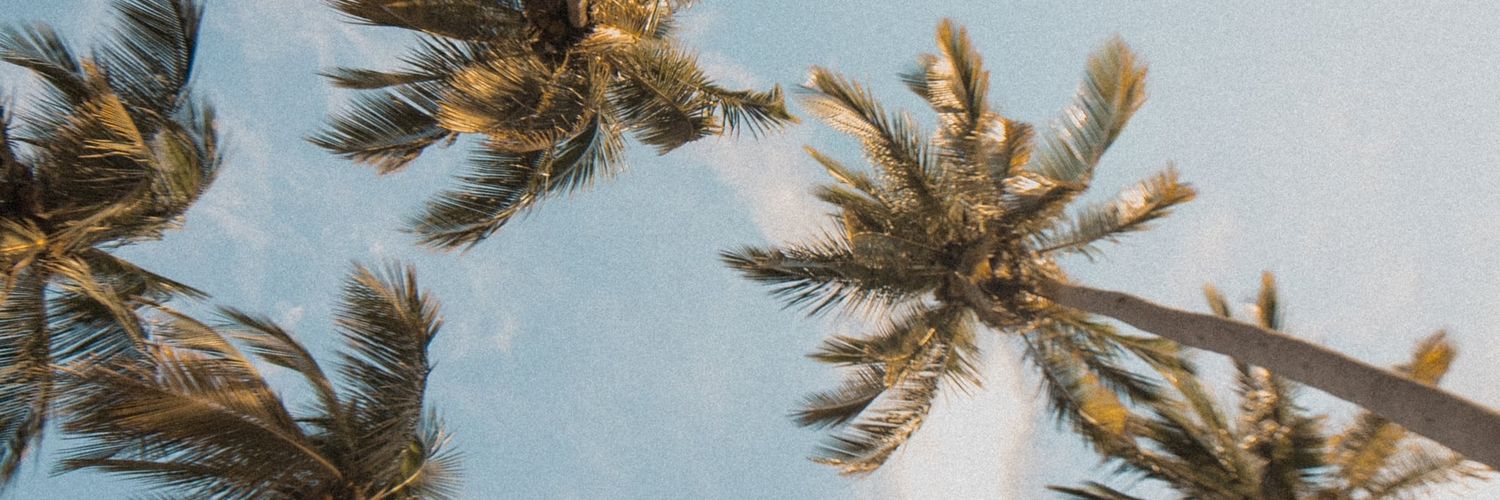 alweys_es's profile banner image