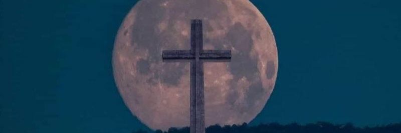 David Miranda banner