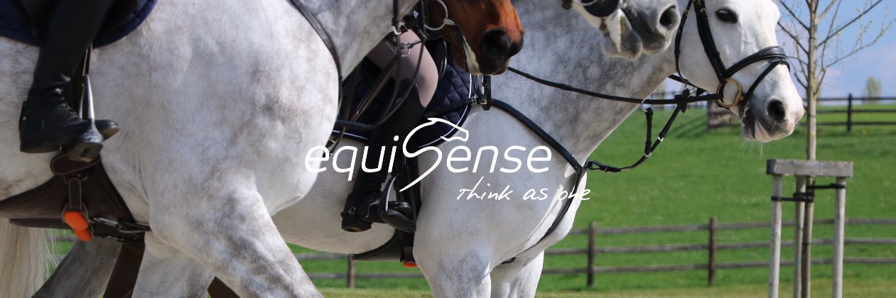 Equisense banner