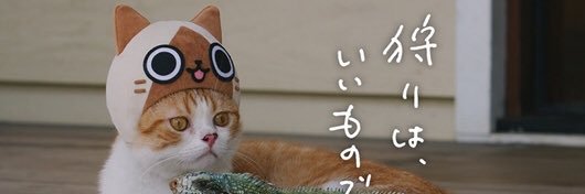 teostra_ta's profile banner image