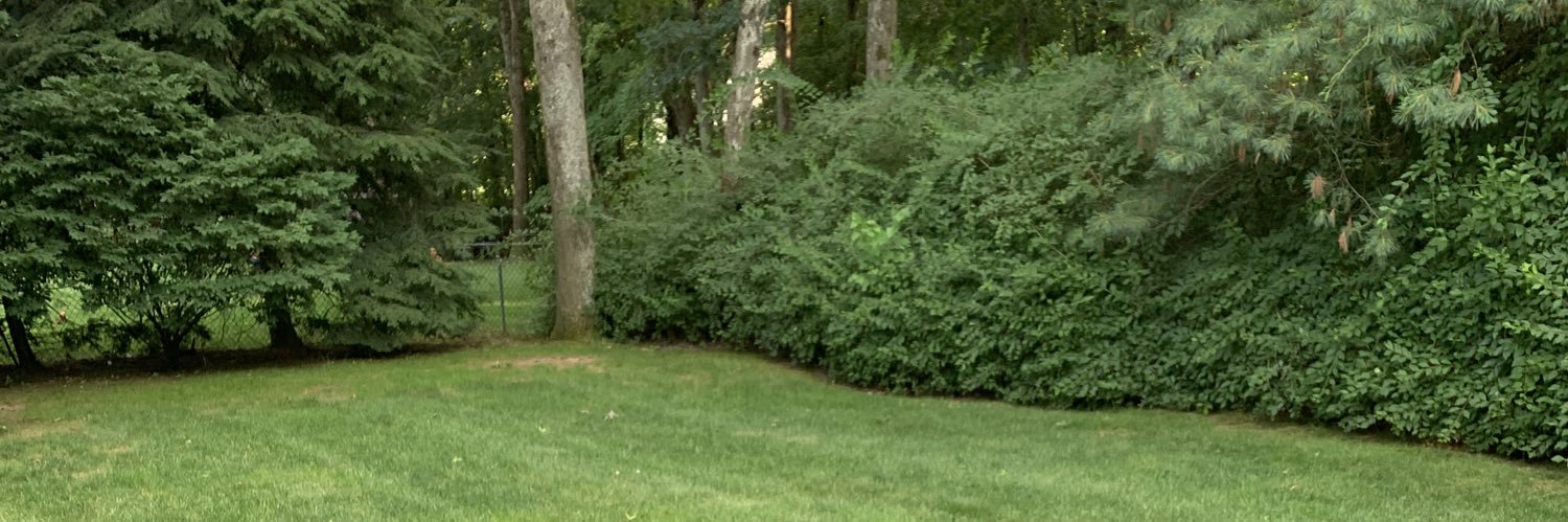 danshapiro413's profile banner image