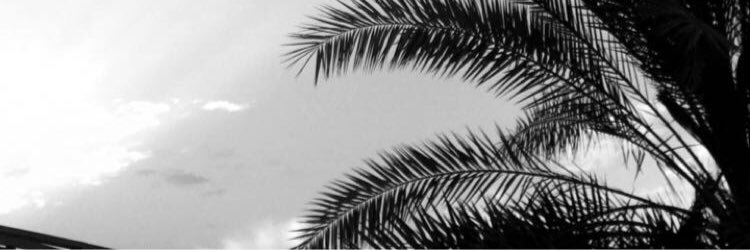 شهد التويجري banner