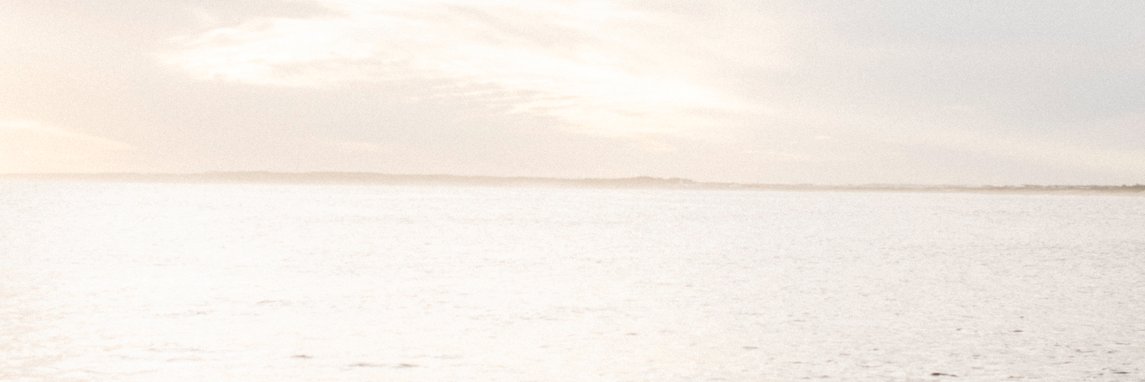 catajack's profile banner image