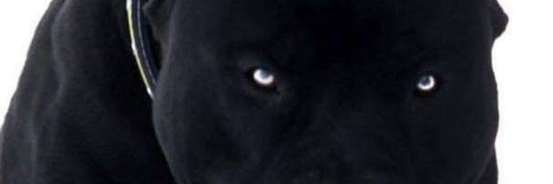 marcusdavis246's profile banner image