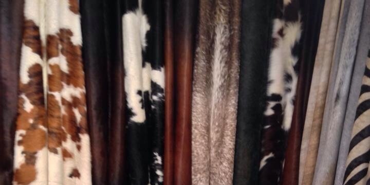 LaurenTimbrell's profile banner image