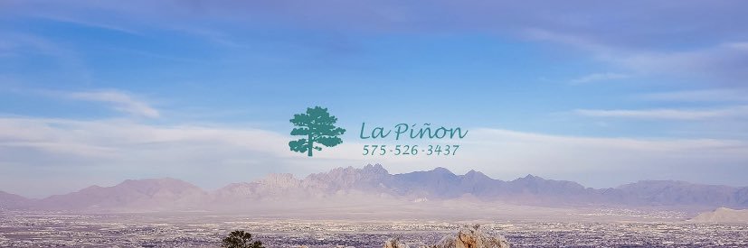 LaPinonSARS's profile banner image