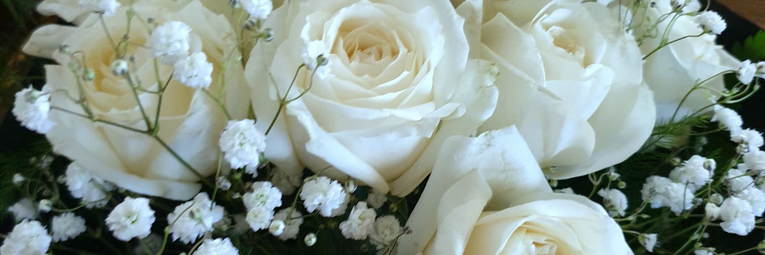 linda banner