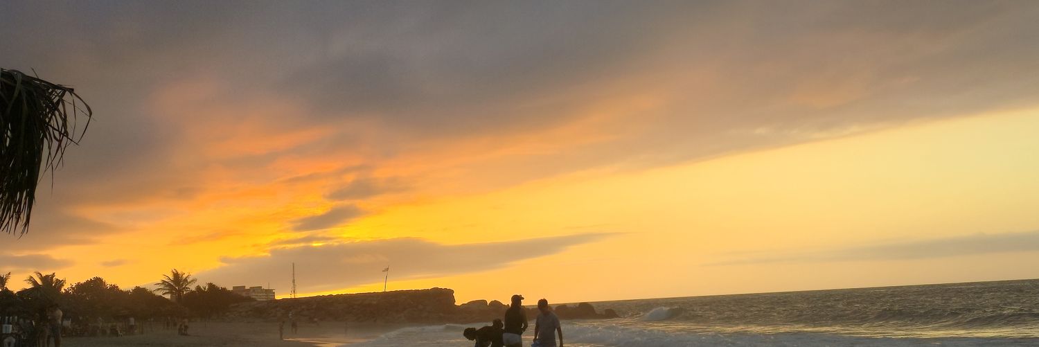 PocoAlta's profile banner image