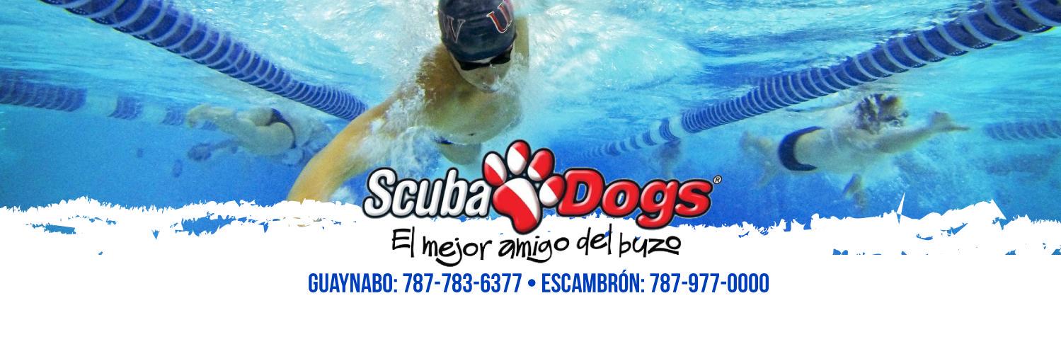 scubadogs1's profile banner image