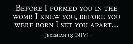 Mary Elizabeth banner