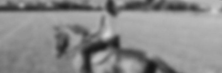 NoemiCalvo's profile banner image