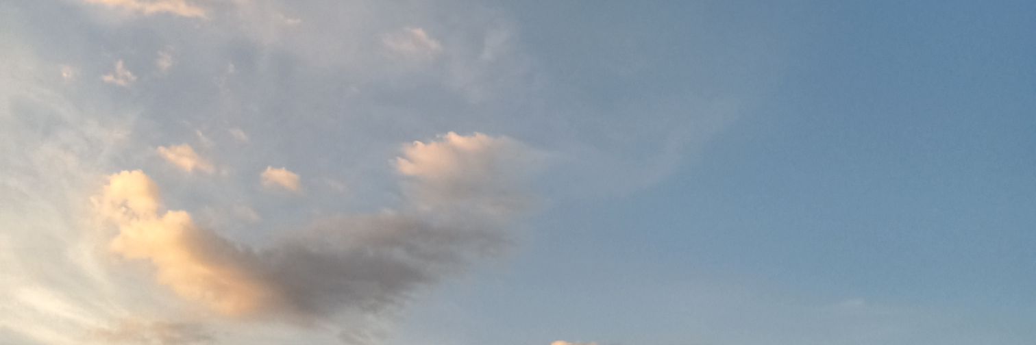 itsnicolevi's profile banner image