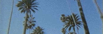 tscan95's profile banner image