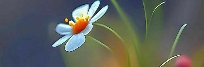 Mustafa Barın banner