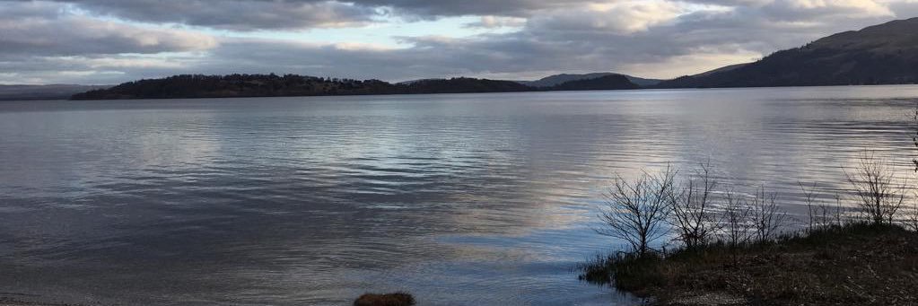annehelen7's profile banner image