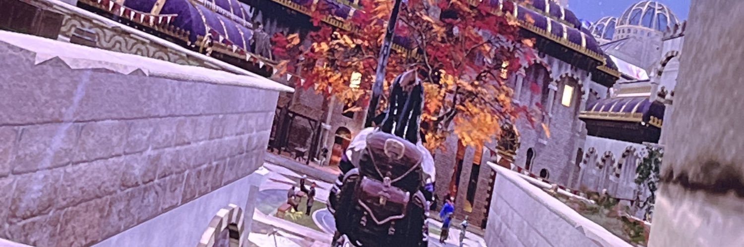 TheVastWing's profile banner image