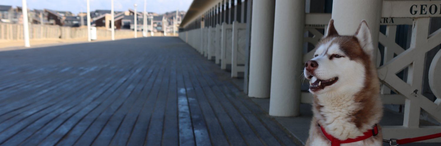 Sophie Quesnel banner