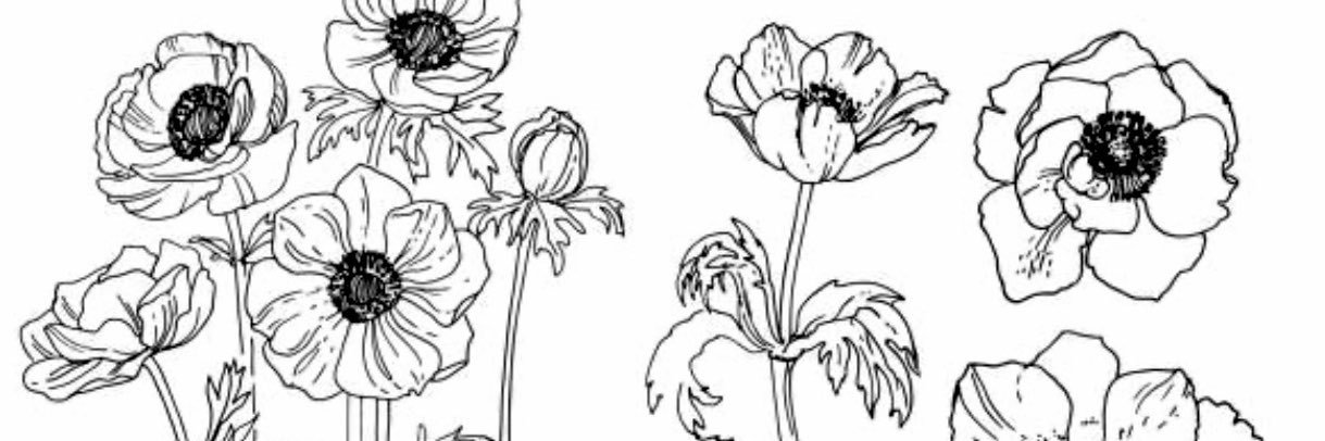 mixberyl_world's profile banner image