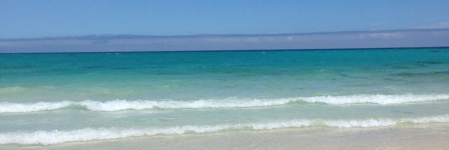 Amy_Clarke_'s profile banner image
