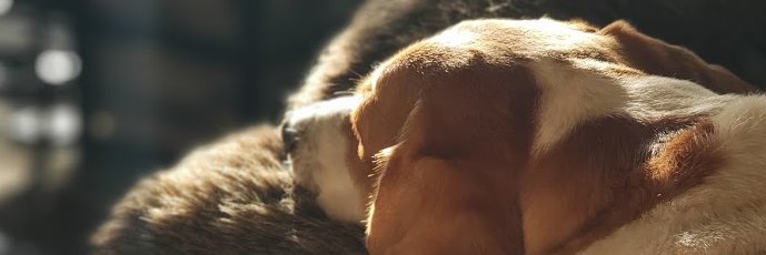 tute66's profile banner image