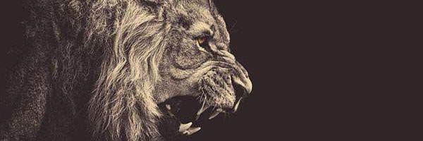 __81__81's profile banner image