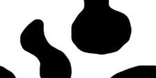 Vacaloca banner