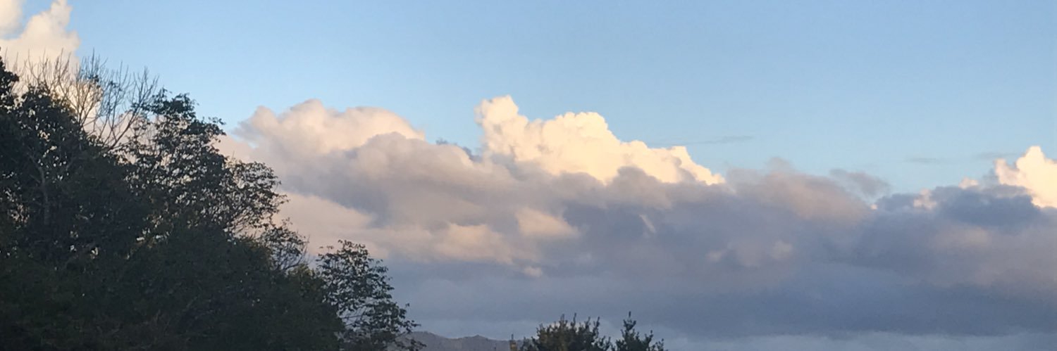 leannverp's profile banner image