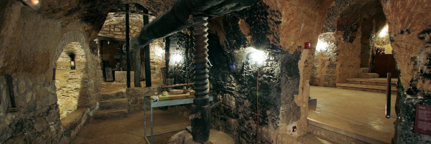 bodega.aulamuzvino banner