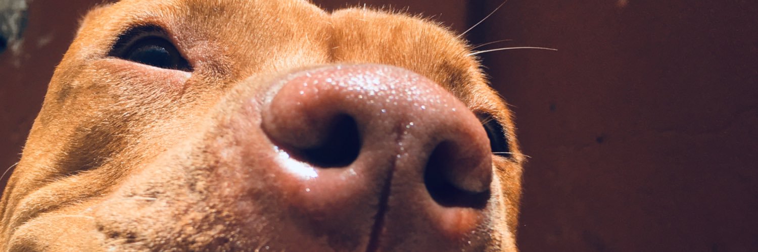 Joseffinam's profile banner image