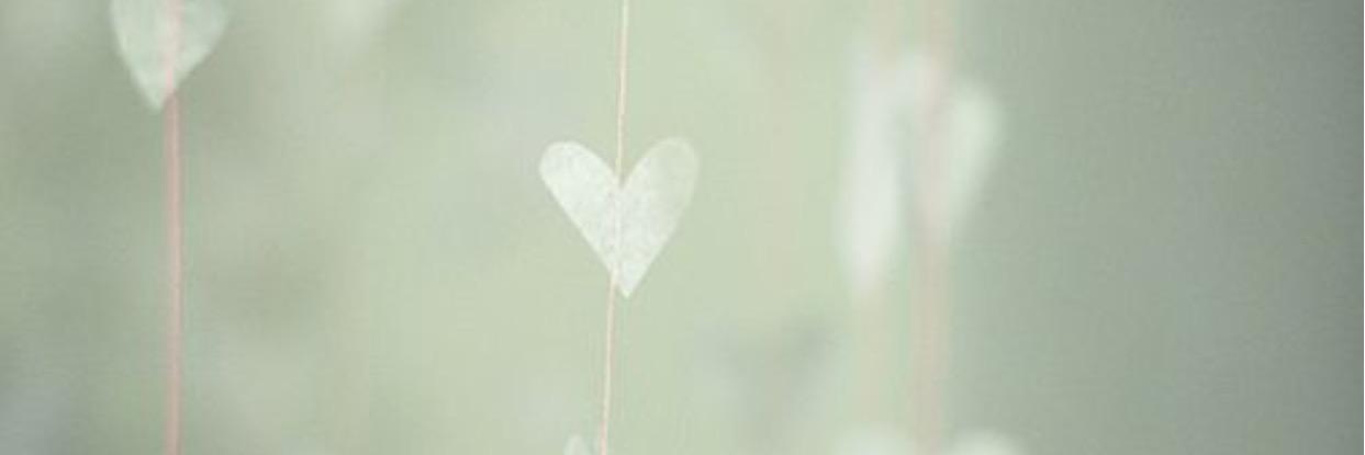 alshayaa140's profile banner image