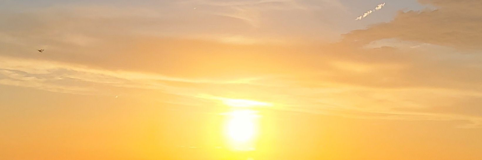 Mrs. Tallardy banner