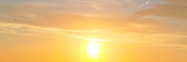 mtallardy Profile Banner