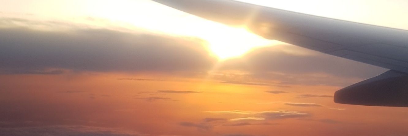 FallisHayley's profile banner image