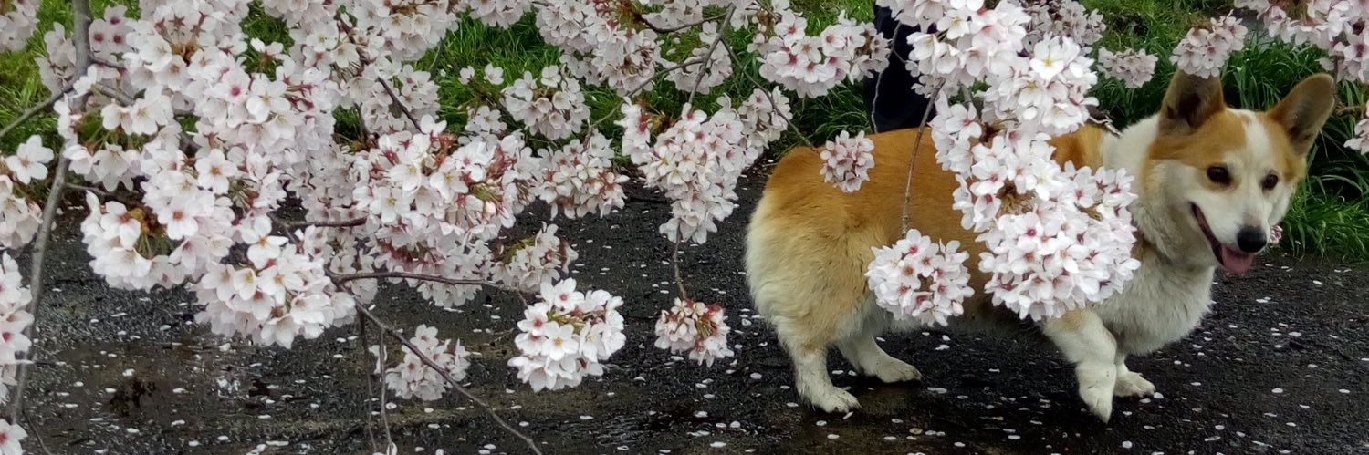 jimaso_56's profile banner image