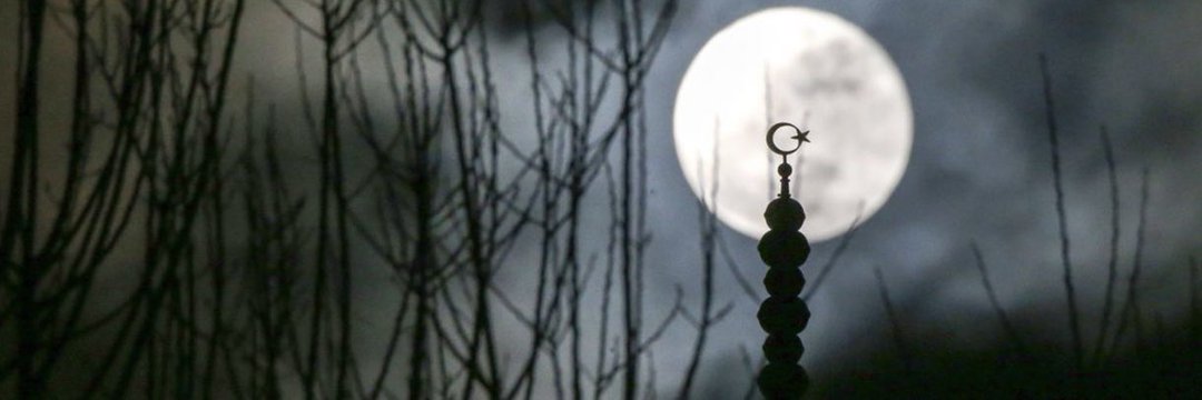 mfmermer's profile banner image