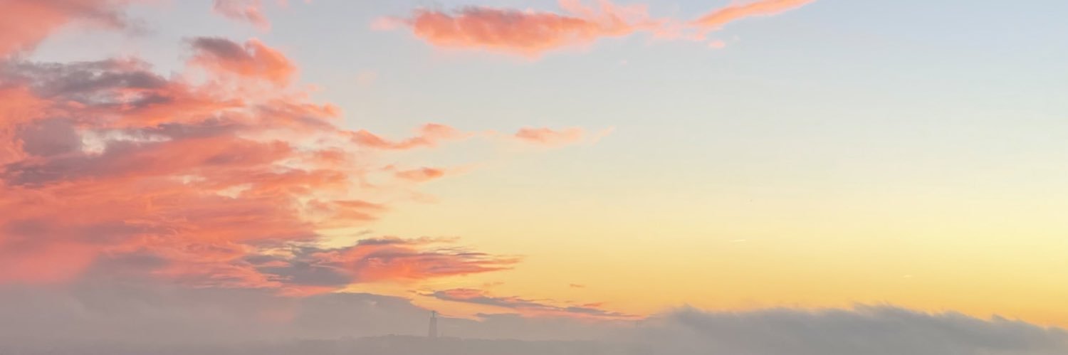 _patridz's profile banner image