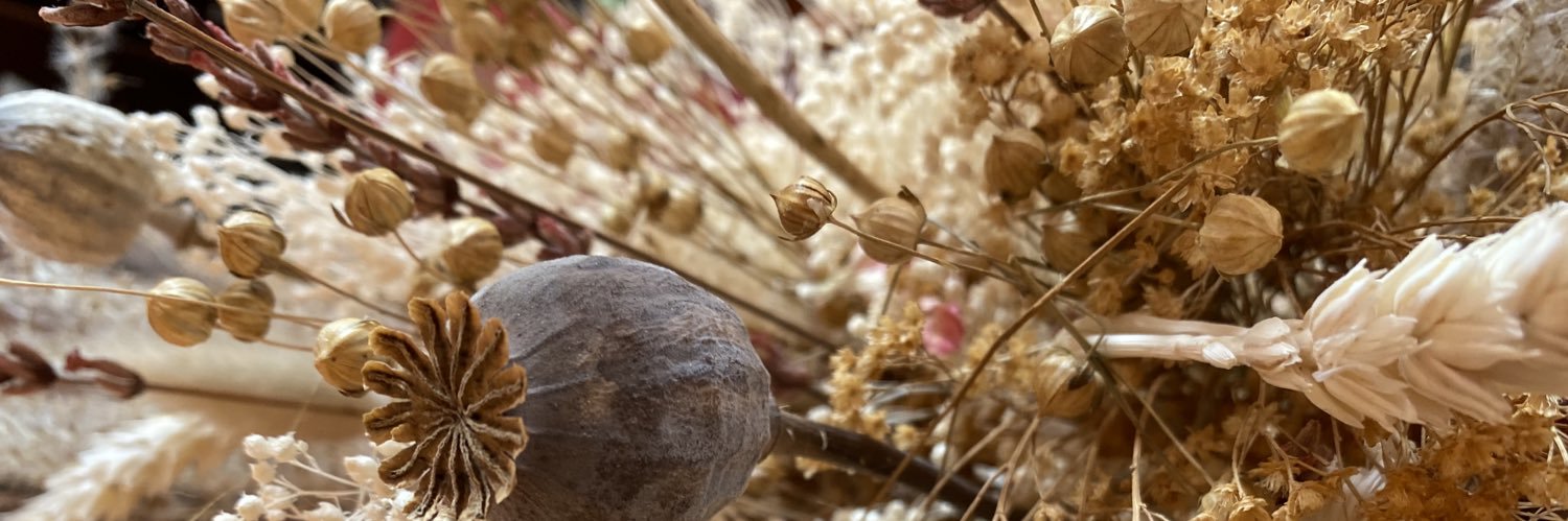 Miss Wonder🧚🏽‍♀️🌸 banner