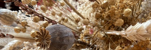 FanaticaTV_ Profile Banner