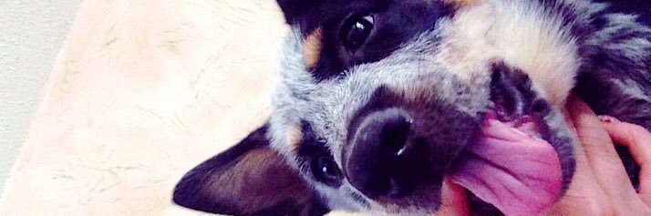 estefaniagy's profile banner image