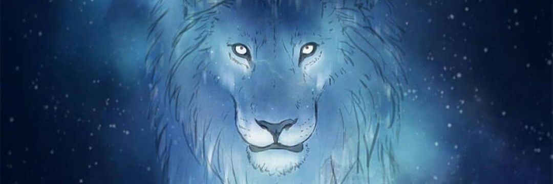 stefy_lcg's profile banner image